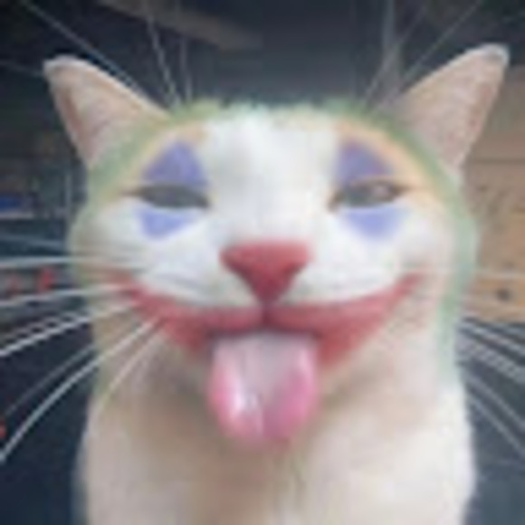 lilybabyllama
